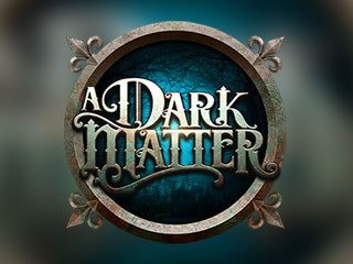 A Dark Matter