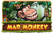 Mad-Monkey